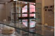 Quick Delivery Ambient Glass Display Cases For Cafe and Retail